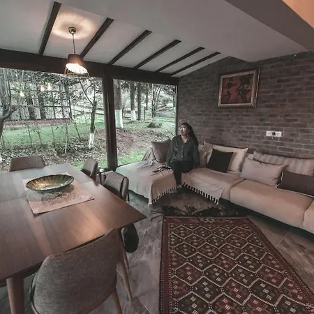 Sapanca Lueks Havuzlu Tripleks Отель